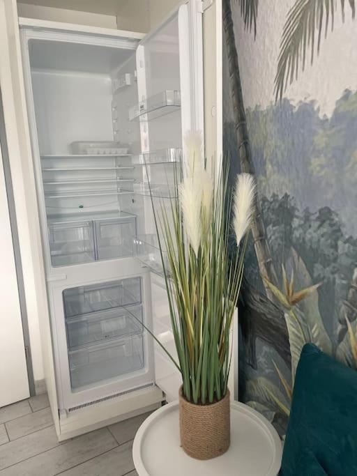 Sur La Plage, Piscine, Wifi, Tv, Netflix Appartement